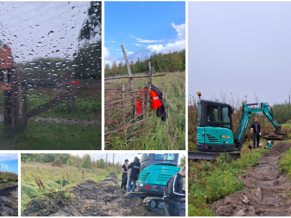 Nieuws uit het&nbsp;Bentwoud